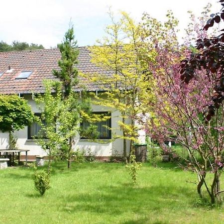 Pension Haus Zum Schlehenberg Bayreuth Extérieur photo